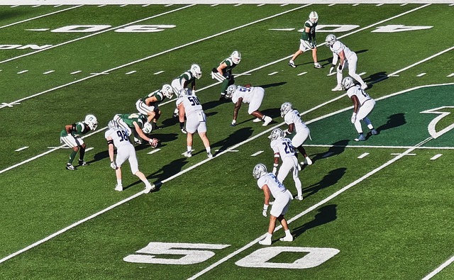 获得了他们 获得了他们