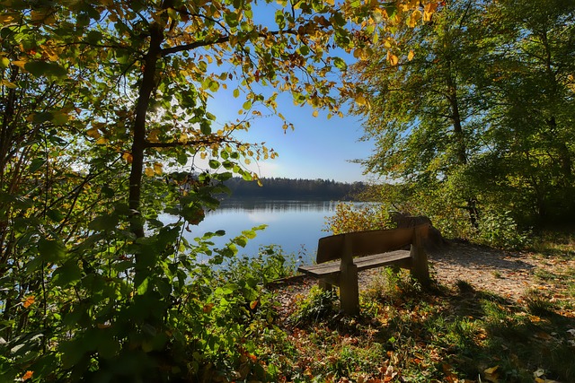 将有助于中 将有助于中
