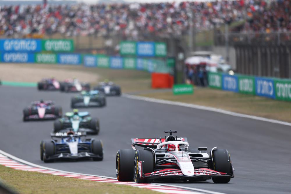 小葛雷诺提 小葛雷诺提