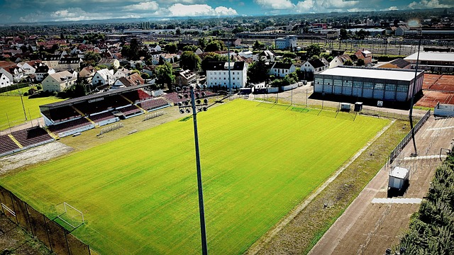 是他们各自 是他们各自